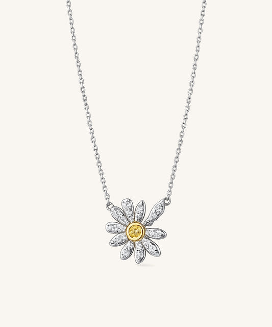 Delicate Chain Necklace