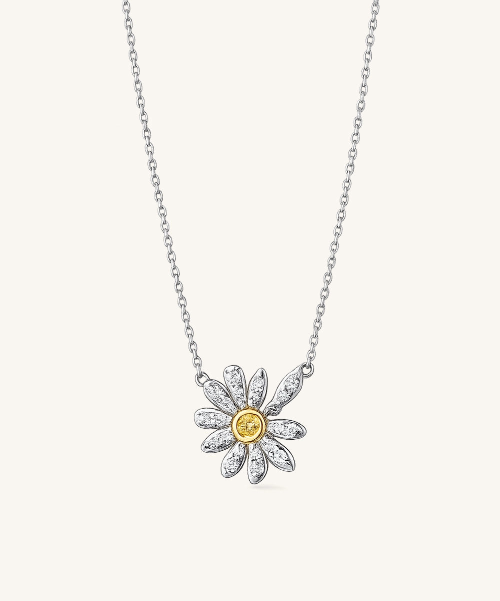 Delicate Chain Necklace