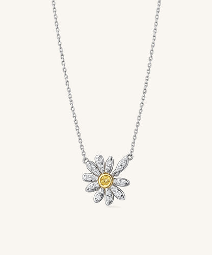 Delicate Chain Necklace